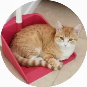 Meet your Posher, Tina